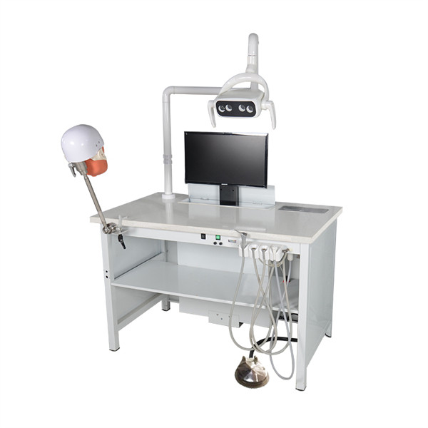 UMG-IV ajustable Phantom Head Sistema de práctica de simulación dental