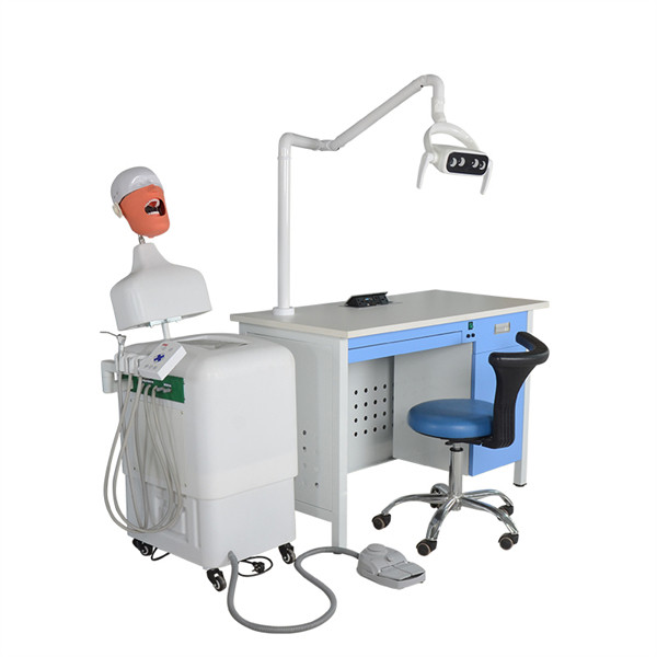 Sistema de práctica de simulación dental UMG-VI dos conjuntos de posición conmemorativa